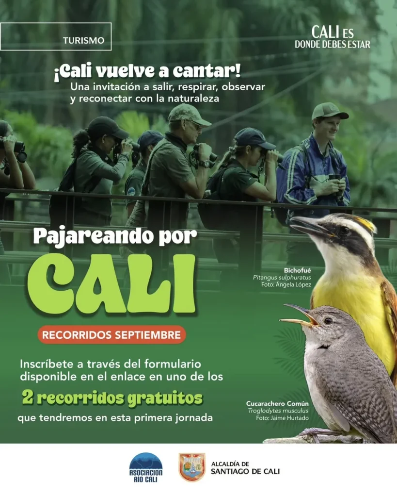 Pajareando por Cali